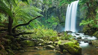Vietnam is home to some breathtaking waterfalls!
