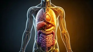 Ghee and Oil's Impact: What Happens When You Stop?