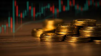 Maintain Essential Ready Cash Balances Before Speculating In Share Markets