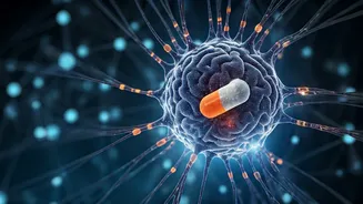 Metformin's Brain Secret: New Study Reveals How It Regulates Blood Sugar