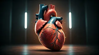 Related Stories banner