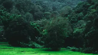 India's Best August Escapes For Lush Views And Less Rain