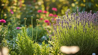 How to mosquito-proof your garden