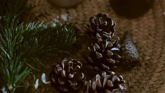 Scented pinecones can change the home decor game