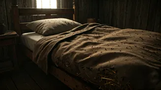 Nightmares of Yesteryear: Unveiling the Brutal Truth About Sleep in the 1700s