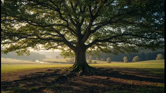 Ageing Headlines Need Calm, Not Fear