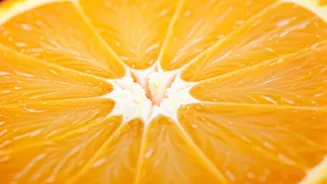 Sagittarius Horoscope: January 28, 2026