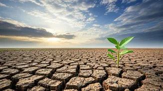 Monsoon Gaps Make Water Stress Personal