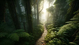 Monsoon Wildlife Trails Deliver Stunning Rainforest Views