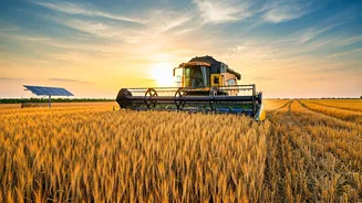 Boosting Indian Farms: Towards Self-Reliance