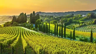 Tuscany Road Trip: Can Combine Art, Hill Towns And Vineyards In One Route With With Short Driving Days In Mind