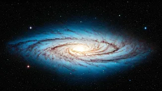 Related Stories banner