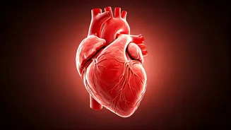 Oral Health: Your Shield Against Strokes?