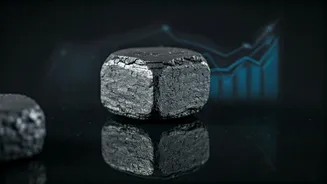 Bharat Coking Coal IPO: Market Expectations Examined