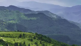 Green Escapes Across Assam Offer A Slower Travel Experience