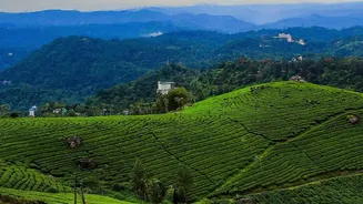 Work From Green Coorg: Scenic Coffee Estate Stays Upgraded With High-Speed Fiber Wi-Fi