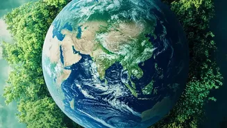 Sundarbans Ecosystem Revival: Satellite Data Captures Accelerated Carbon Sequestration Metrics
