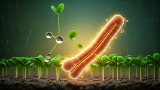 Gut Health Is Driving Rainy-Season Food Choices