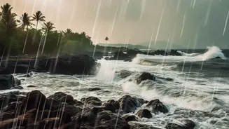 Before A Rainy-Season Trip, Read These Seven Insurance Clauses