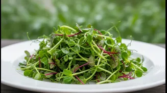 How Sautéed Micro-greens Boost Monsoonal Immune Responses Free From Parasitic Infection Traps