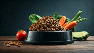 Pet Diets Are Entering Their Rainy-Season Era