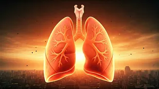 Air Pollution: Health Risks & Protective Measures