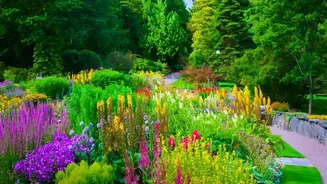 Native Gardens Are Becoming Every Homeowner's Favourite
