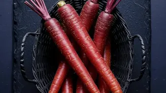 Recipes With Carrots: Versatile Ways To Cook One Root Vegetable