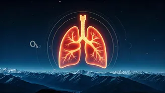 Build Extreme Lung Capacity Via High Altitude Mountain Training Simulations