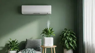 Monsoon Comfort Starts With The Right Setting