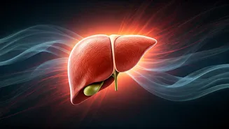 Beyond Weight: Stress & Poor Sleep Fueling Fatty Liver in Young Adults