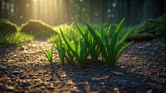 Nurturing Your Mind: Reimagining Mental Well-being