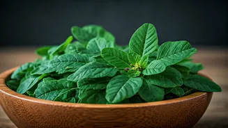Indian Homes Choose Native Greens