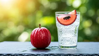 Fizzy Kokum Sparkling Water Upgrades Boring Summer Mocktails Daily