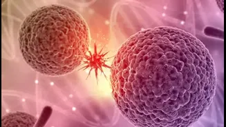 World Cancer Day: How Genetics, Pollution & Stress Are Rewriting the Risk Map