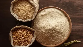 How Fermentable Fiber And Probiotic Foods Transform Daily Mood And Focus