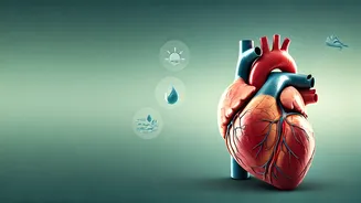 Cardiologist's Blueprint: Your 7 AM to 9 PM Daily Routine for a Healthier Heart