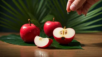 Related Stories banner