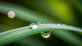 Beyond 'Thank You': Cultivating Genuine Gratitude in Children