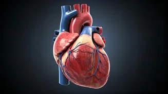 Coffee's Heartfelt Protection: Unveiling the Study