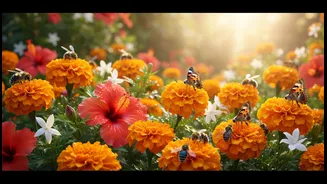 Pollinator-Friendly Gardening Needs A Simple Starter Guide