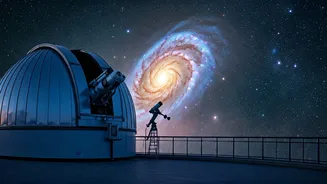 Related Stories banner