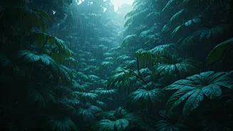 Monsoon Gives Andaman Islands A Lush Glow