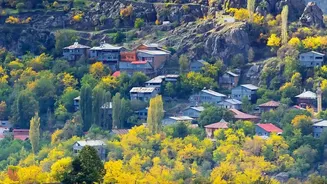Remote Tech Stays: Budget Mountain Homestays In Kasol And Jibhi For Autumn