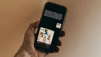 Meta launches Muse image to generate images from Instagram content