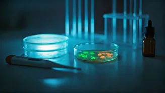 Unraveling the Mystery: Cold, Flu, or COVID-19?