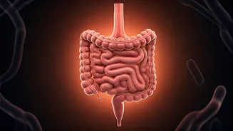 Everyone Is Talking About Gut Health