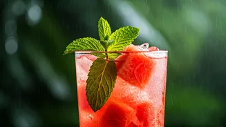 This 3-Ingredient Watermelon Mint Cooler Rules Monsoon Drink Reels
