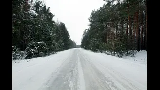 Winter Road Safety: Crash Stats Highlight Global Risks