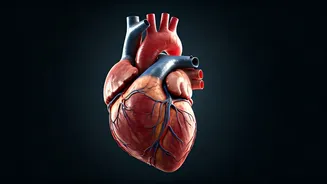 Heart Health Habits: Dangerous Habits to Avoid